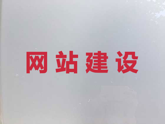 杭州专业网站建设
